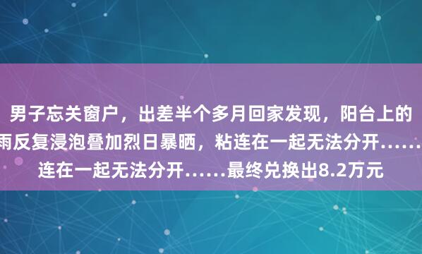 男子忘关窗户，出差半个多月回家发现，阳台上的10万元钞票经过大雨反复浸泡叠加烈日暴晒，粘连在一起无法分开……最终兑换出8.2万元