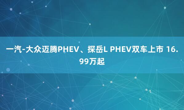 一汽-大众迈腾PHEV、探岳L PHEV双车上市 16.99万起