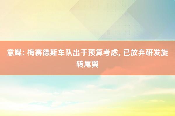 意媒: 梅赛德斯车队出于预算考虑, 已放弃研发旋转尾翼