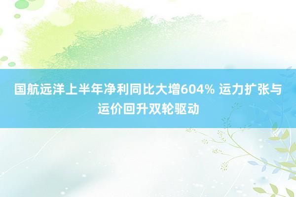国航远洋上半年净利同比大增604% 运力扩张与运价回升双轮驱动