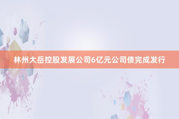 林州大岳控股发展公司6亿元公司债完成发行