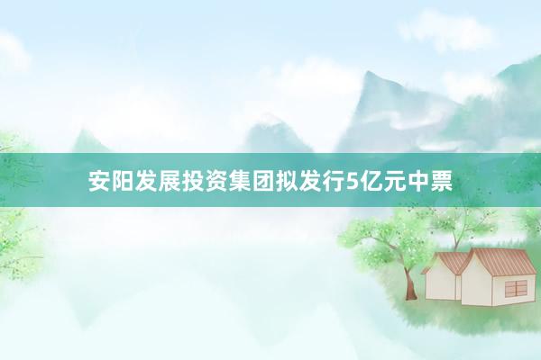 安阳发展投资集团拟发行5亿元中票
