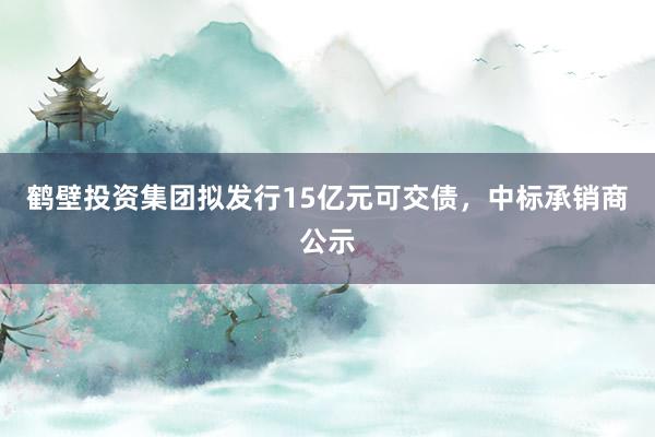 鹤壁投资集团拟发行15亿元可交债，中标承销商公示