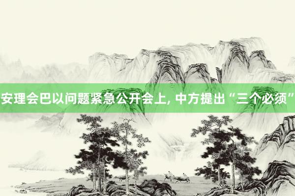 安理会巴以问题紧急公开会上, 中方提出“三个必须”
