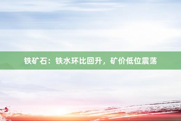 铁矿石：铁水环比回升，矿价低位震荡
