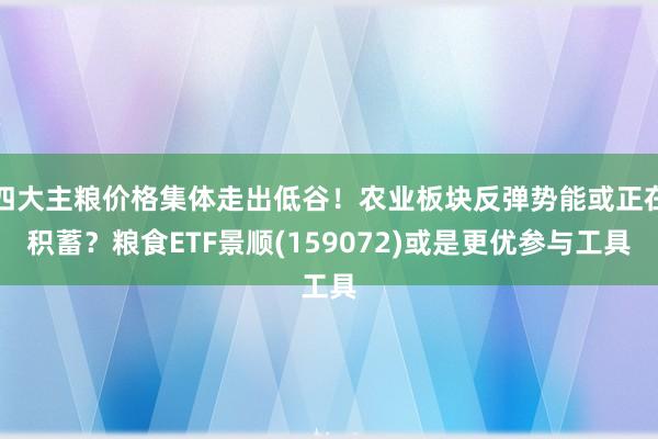 四大主粮价格集体走出低谷！农业板块反弹势能或正在积蓄？粮食ETF景顺(159072)或是更优参与工具