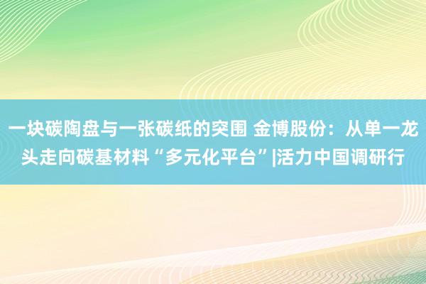 一块碳陶盘与一张碳纸的突围 金博股份：从单一龙头走向碳基材料“多元化平台”|活力中国调研行