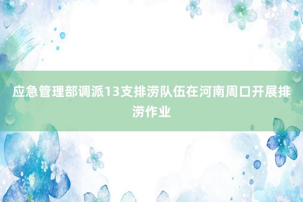 应急管理部调派13支排涝队伍在河南周口开展排涝作业