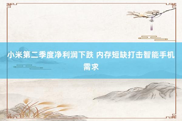 小米第二季度净利润下跌 内存短缺打击智能手机需求