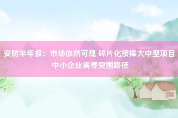 安防半年报：市场依然可观 碎片化接棒大中型项目 中小企业需寻突围路径
