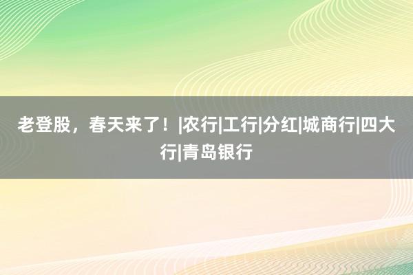 老登股，春天来了！|农行|工行|分红|城商行|四大行|青岛银行