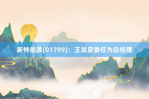 新特能源(01799)：王斌获委任为总经理