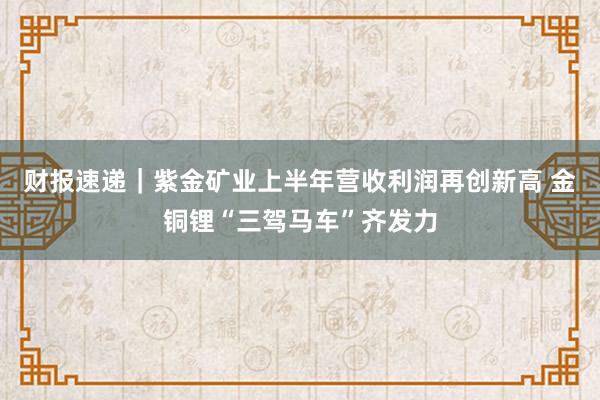 财报速递｜紫金矿业上半年营收利润再创新高 金铜锂“三驾马车”齐发力