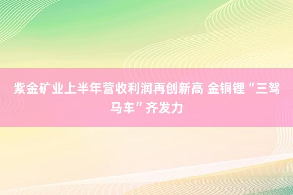 紫金矿业上半年营收利润再创新高 金铜锂“三驾马车”齐发力