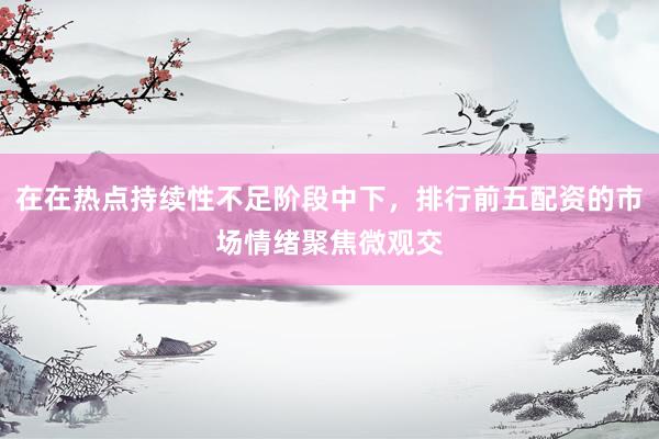 在在热点持续性不足阶段中下，排行前五配资的市场情绪聚焦微观交
