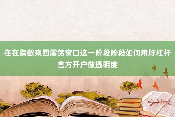 在在指数来回震荡窗口这一阶段阶段如何用好杠杆官方开户做透明度
