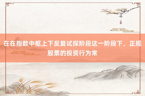 在在指数中枢上下反复试探阶段这一阶段下，正规股票的投资行为常