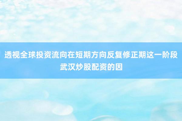 透视全球投资流向在短期方向反复修正期这一阶段武汉炒股配资的因