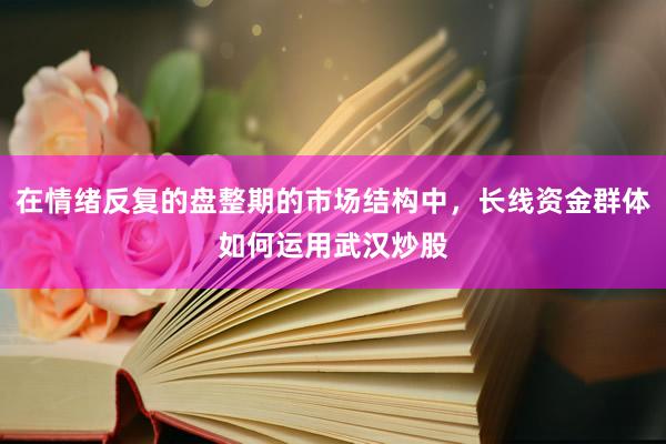 在情绪反复的盘整期的市场结构中，长线资金群体如何运用武汉炒股