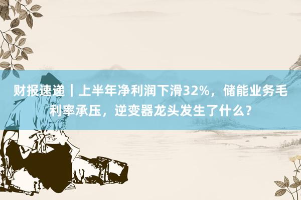 财报速递｜上半年净利润下滑32%，储能业务毛利率承压，逆变器龙头发生了什么？