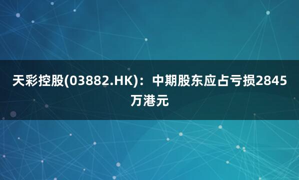 天彩控股(03882.HK)：中期股东应占亏损2845万港元