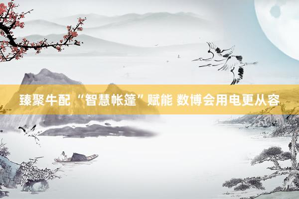 臻聚牛配 “智慧帐篷”赋能 数博会用电更从容