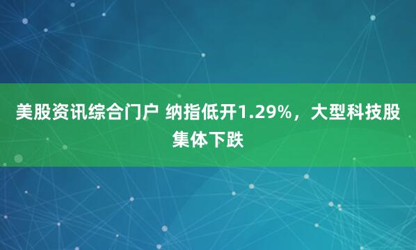 美股资讯综合门户 纳指低开1.29%，大型科技股集体下跌