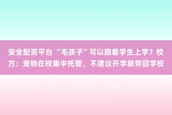 安全配资平台 “毛孩子”可以跟着学生上学？校方：宠物在校集中托管，不建议开学就带回学校