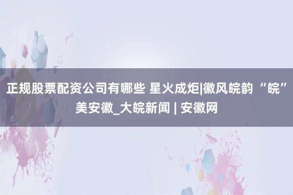 正规股票配资公司有哪些 星火成炬|徽风皖韵 “皖”美安徽_大皖新闻 | 安徽网