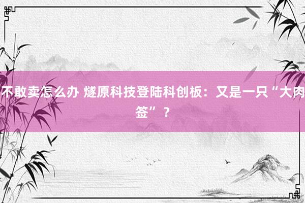 不敢卖怎么办 燧原科技登陆科创板：又是一只“大肉签” ？