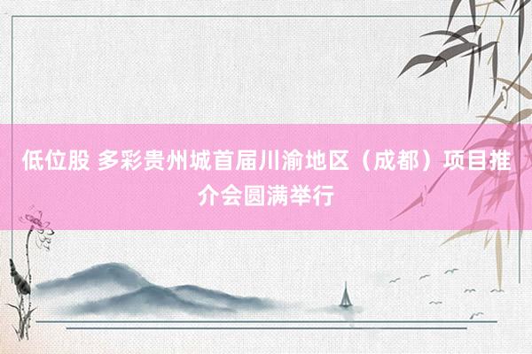 低位股 多彩贵州城首届川渝地区(成都)项目推介会圆满举行