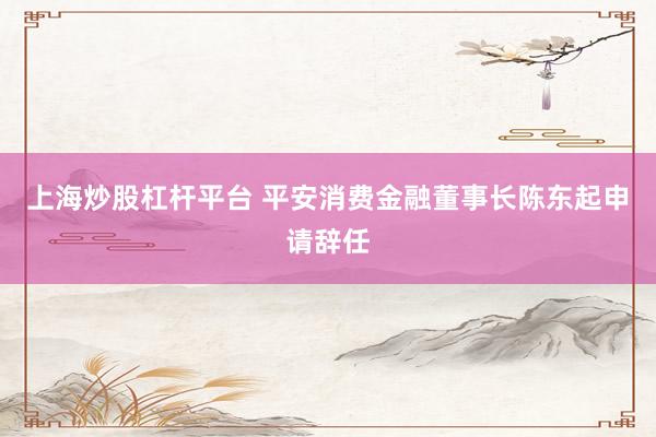 上海炒股杠杆平台 平安消费金融董事长陈东起申请辞任
