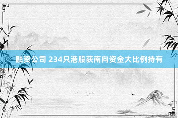 融资公司 234只港股获南向资金大比例持有