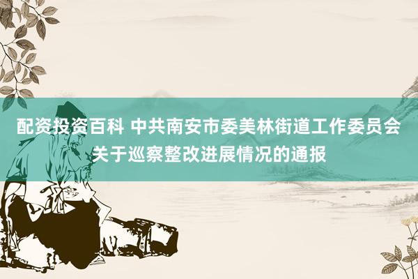 配资投资百科 中共南安市委美林街道工作委员会关于巡察整改进展情况的通报