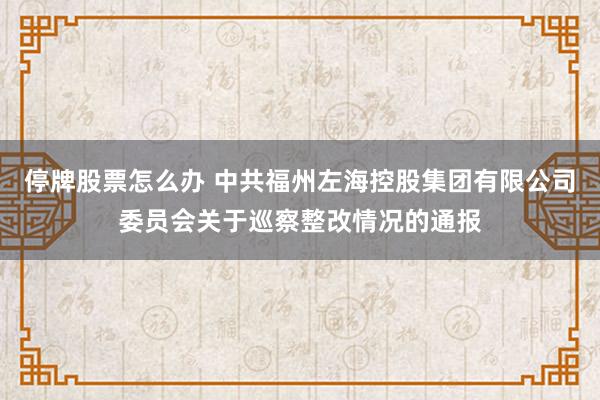 停牌股票怎么办 中共福州左海控股集团有限公司委员会关于巡察整改情况的通报