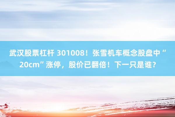 武汉股票杠杆 301008!张雪机车概念股盘中“20cm”涨停,股价已翻倍!下一只是谁?