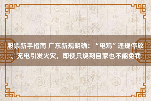 股票新手指南 广东新规明确：“电鸡”违规停放、充电引发火灾，即使只烧到自家也不能免罚