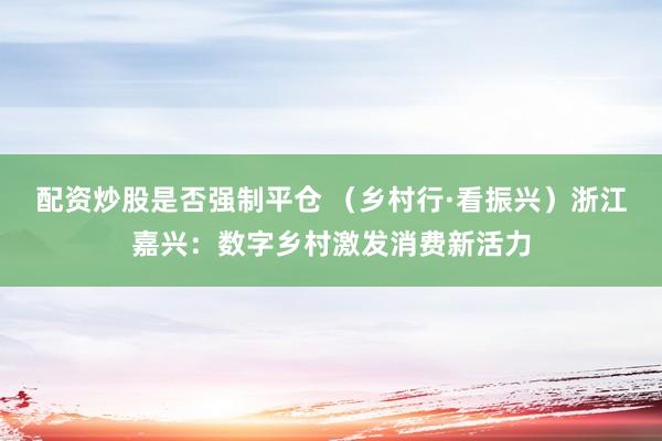 配资炒股是否强制平仓 （乡村行·看振兴）浙江嘉兴：数字乡村激发消费新活力