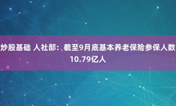 炒股基础 人社部：截至9月底基本养老保险参保人数10.79亿人