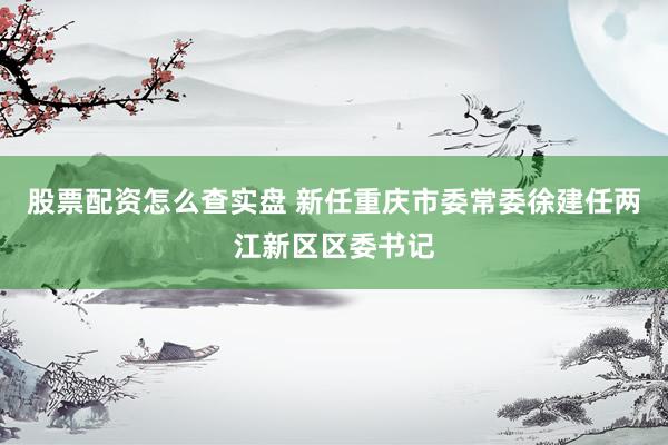 股票配资怎么查实盘 新任重庆市委常委徐建任两江新区区委书记