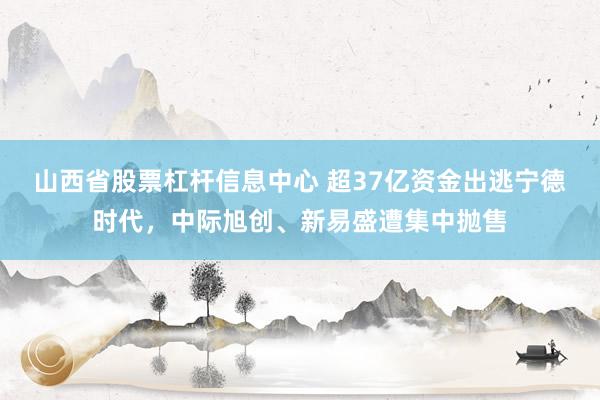 山西省股票杠杆信息中心 超37亿资金出逃宁德时代,中际旭创、新易盛遭集中抛售