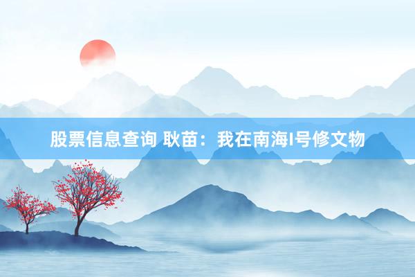 股票信息查询 耿苗：我在南海I号修文物