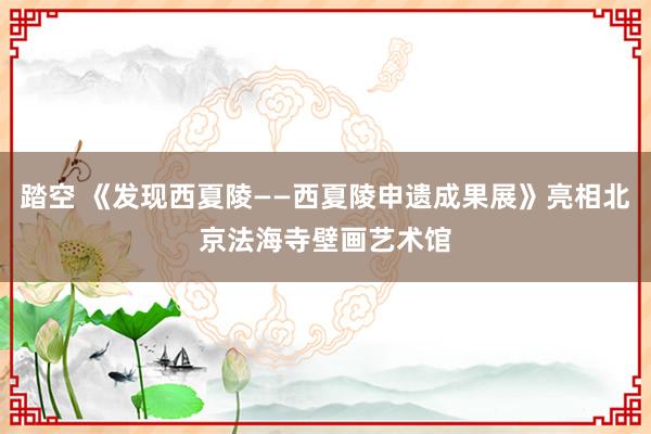 踏空 《发现西夏陵——西夏陵申遗成果展》亮相北京法海寺壁画艺术馆